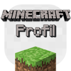 Minecraft: Benutzerprofilfeld
